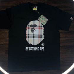 Bathing Ape Logo Black/Brown T-shirt