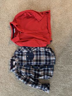 Hannah Anderson 3T (Polo, Button Down, Shirt)