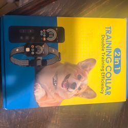 Dog Training Collar 