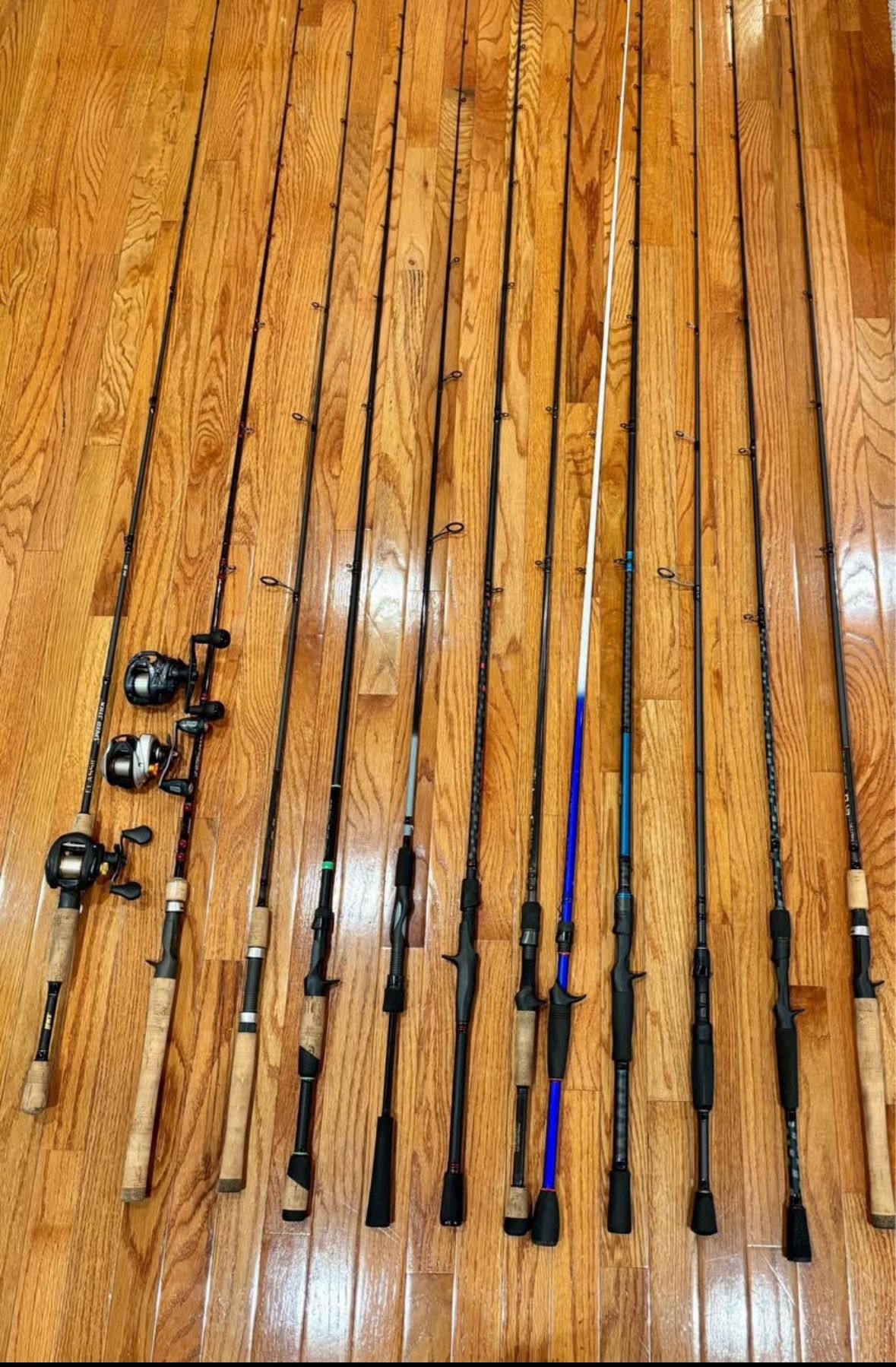 Fishing rods (bait casting and Spinning Rod)