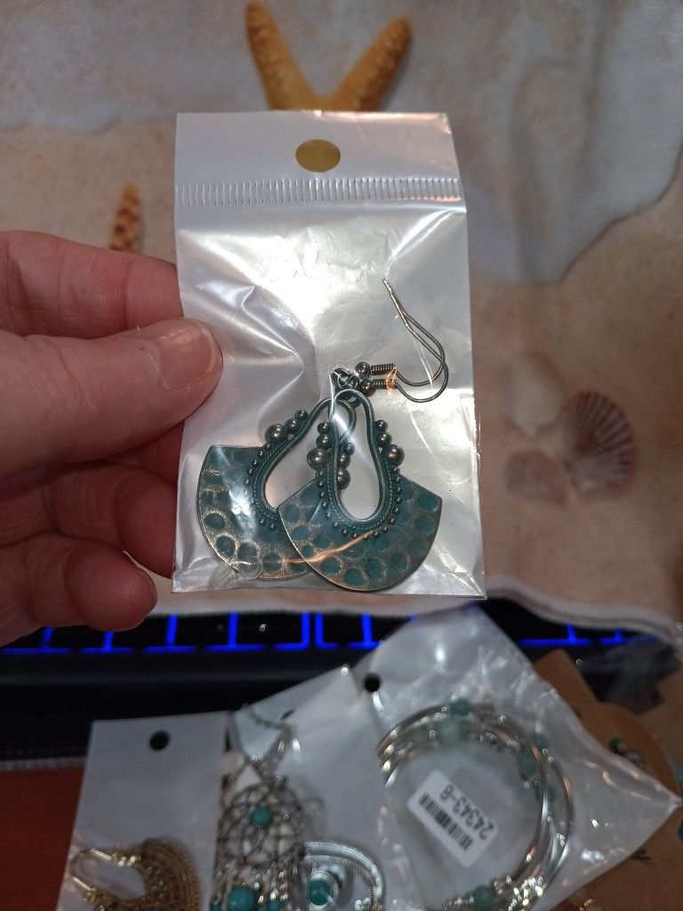 Fish Back Dangle Earring Color Is Turquoise With A Hammered Look
