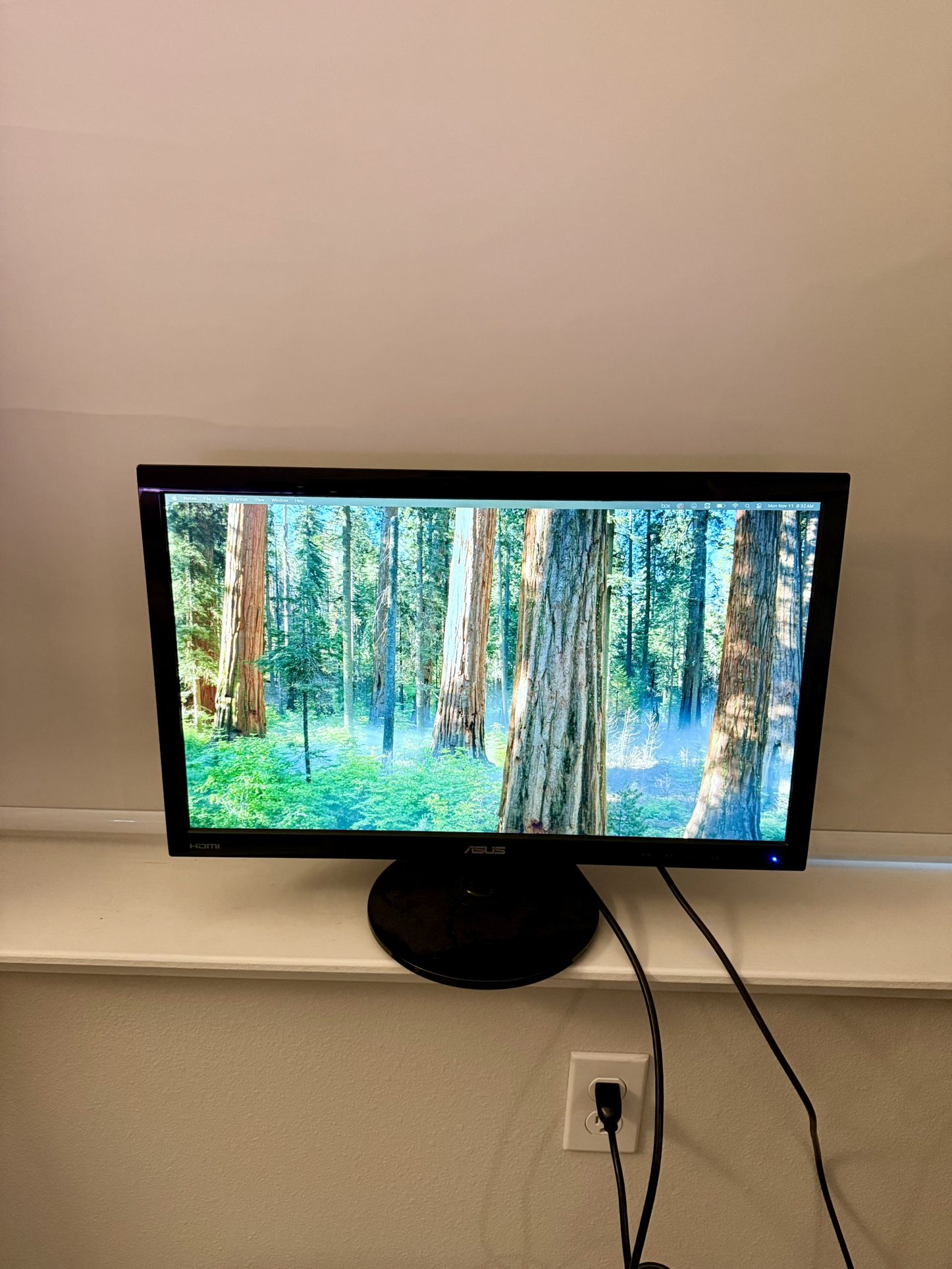 ASUS Display