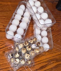 Huevos frescos para consumir  o fertiles