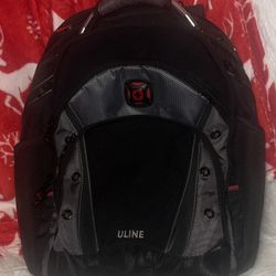 NWOT Swiss Gear Professional Backpack