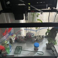 Fish Tank