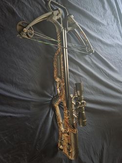 Barnnet Bow
