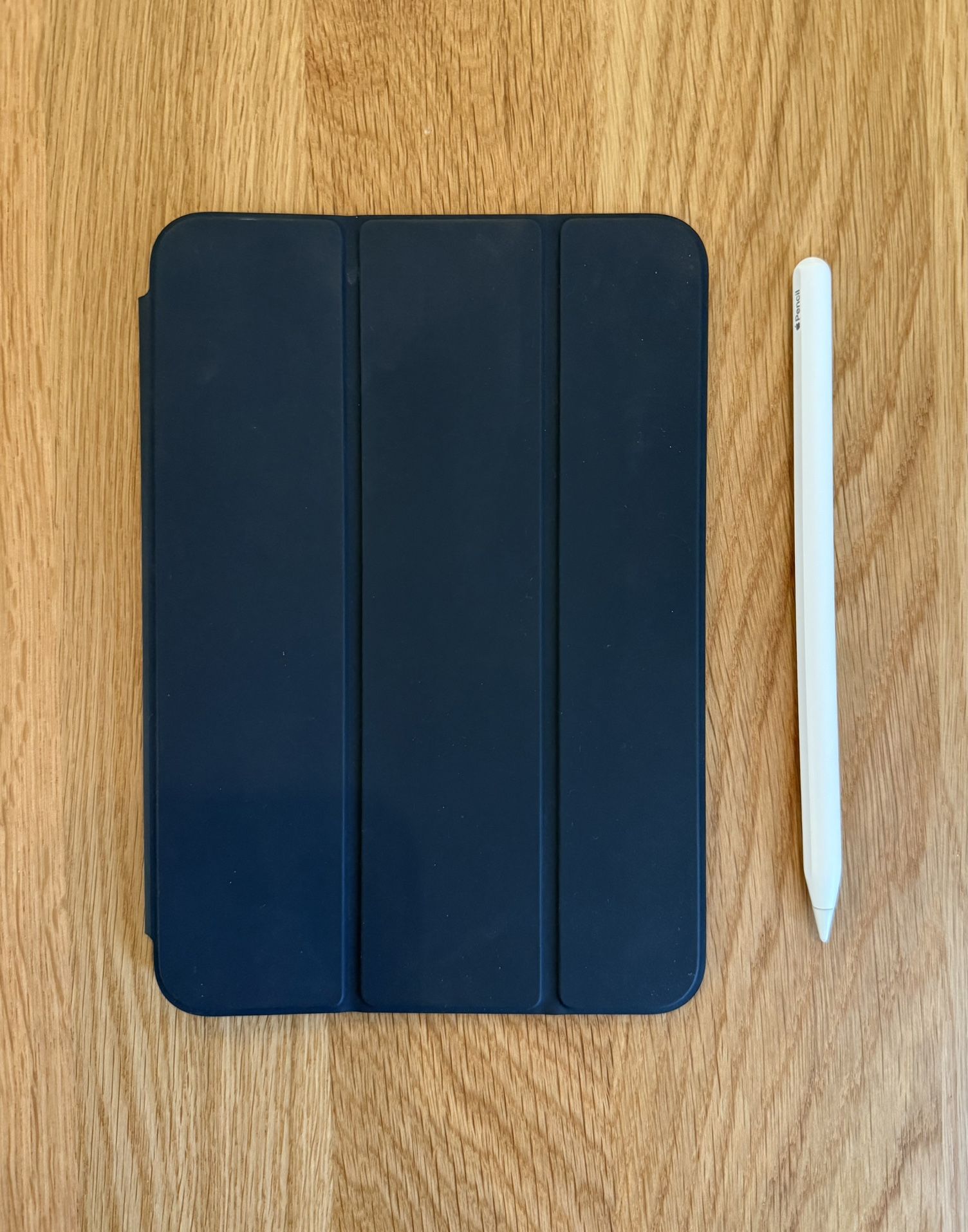 Smart Folio iPad mini Case and Apple Pencil