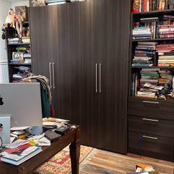 Murphy Bed / Book Shelf - Like New