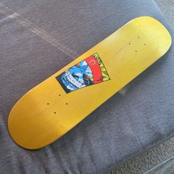 Skate Board 