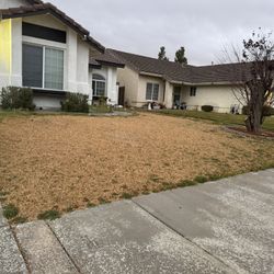 Desert Sand Color Gravel 