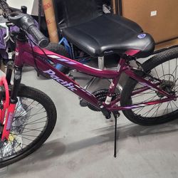 24" pacific cavern mountain bike