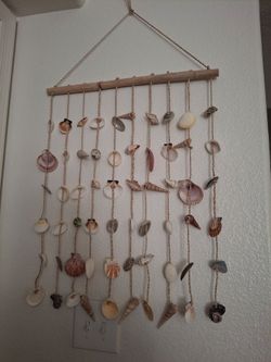 Beach shells Decor