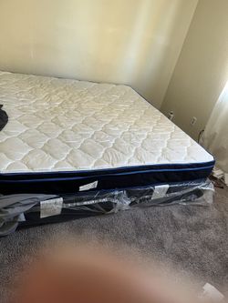 Brand New Bed