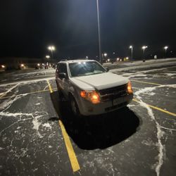 2010 Ford Escape XLT