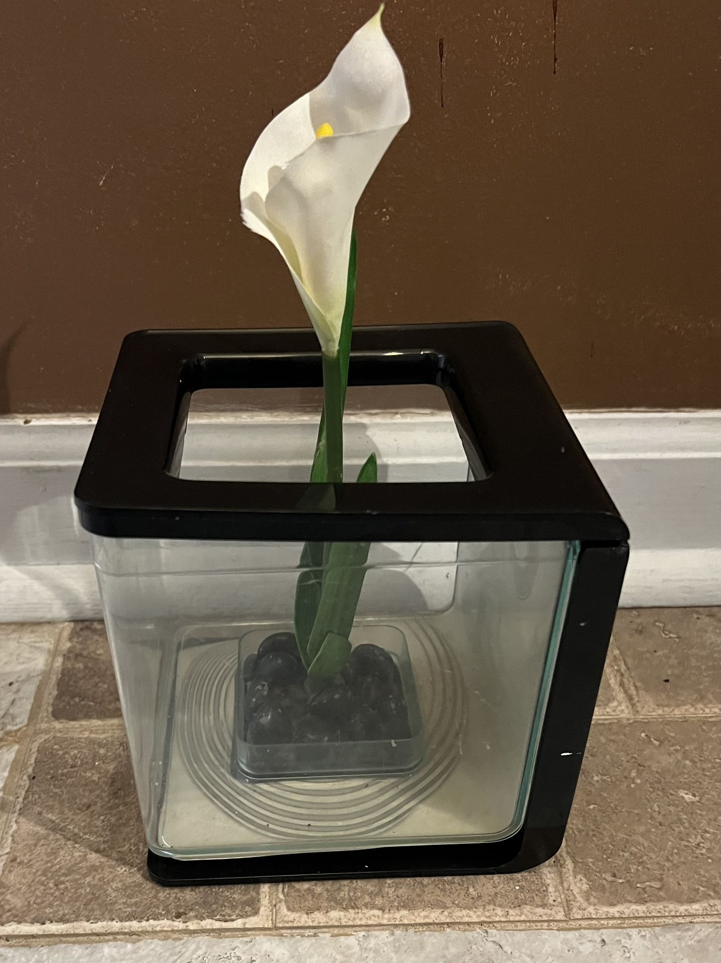 Small Fish Tank /Aquarium ( Pls read description )