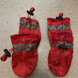 Dog Shoes
