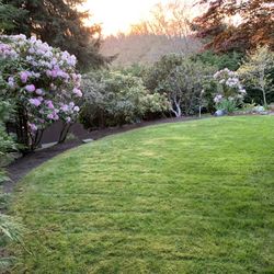 Fresh Cut Lawns 