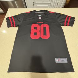 Large Jerry Rice jersey - Available