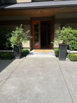 Large Self-Watering Entryway Planters with Mature Plants – Set of 2