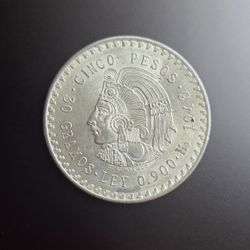 1 Ounce Silver Coin 