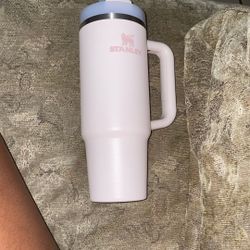 Stanley Cup In Baby Pink Cup Couple Of Scratches 