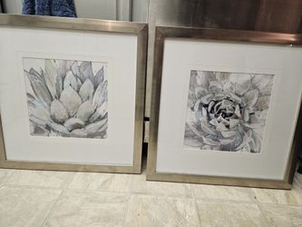Set Of 2 Succulents Prints 