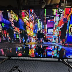 55 Inch Sony Professional Tv/Display Commercial 