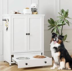 Dog Feeding Station with storage