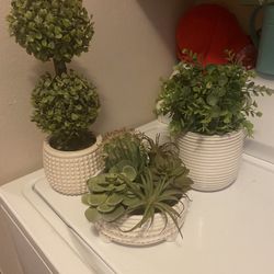 Set Of Three Artificial Plants 