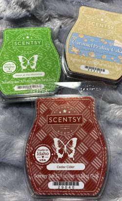 Scentsy Bars