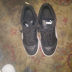 Black Puma 