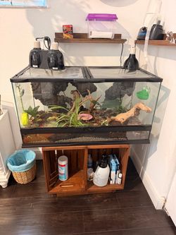 40 Gallon Reptile Terrarium + Stand + Lights & Fogger