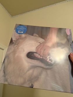 sign crushes motorist SEALED Vinyl