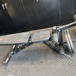Weight Bench With Leg Curl Extension 