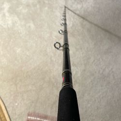 Penn Carnage 3 40-80 7’6