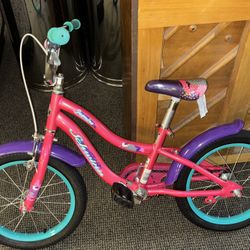 16 Inch Schwinn Jasmine Kids Bicycle