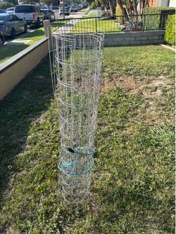 Chicken wire