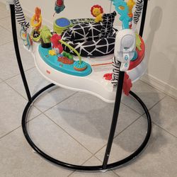 Fisher-Price Baby Bouncer