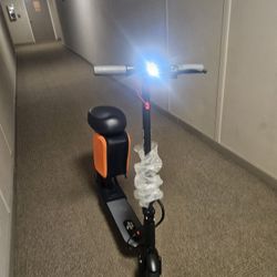 Electric Scooter 