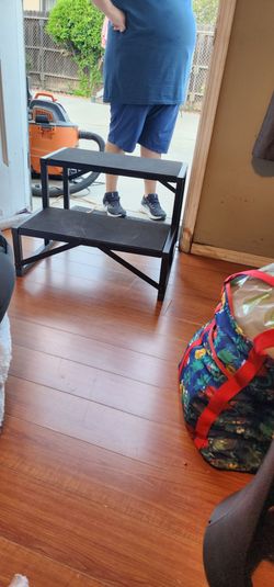 Step stool