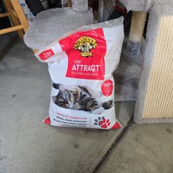 Cat Litter