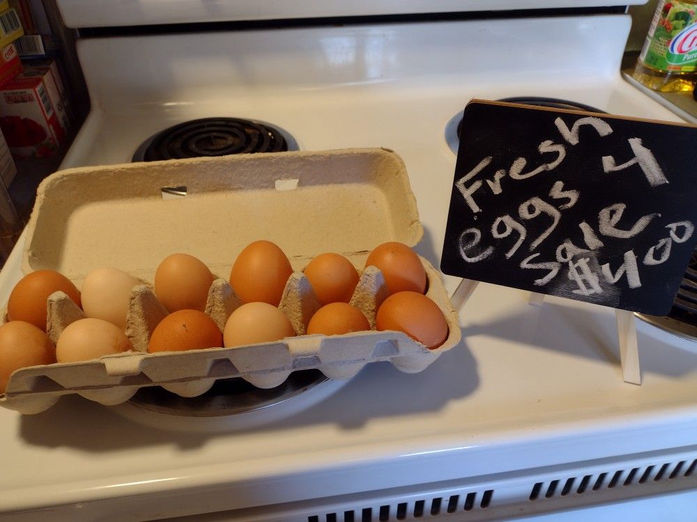 Farm Fresh Eggs