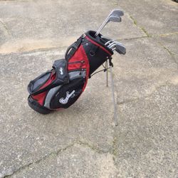Ladies Golf Clubs Right Swing 