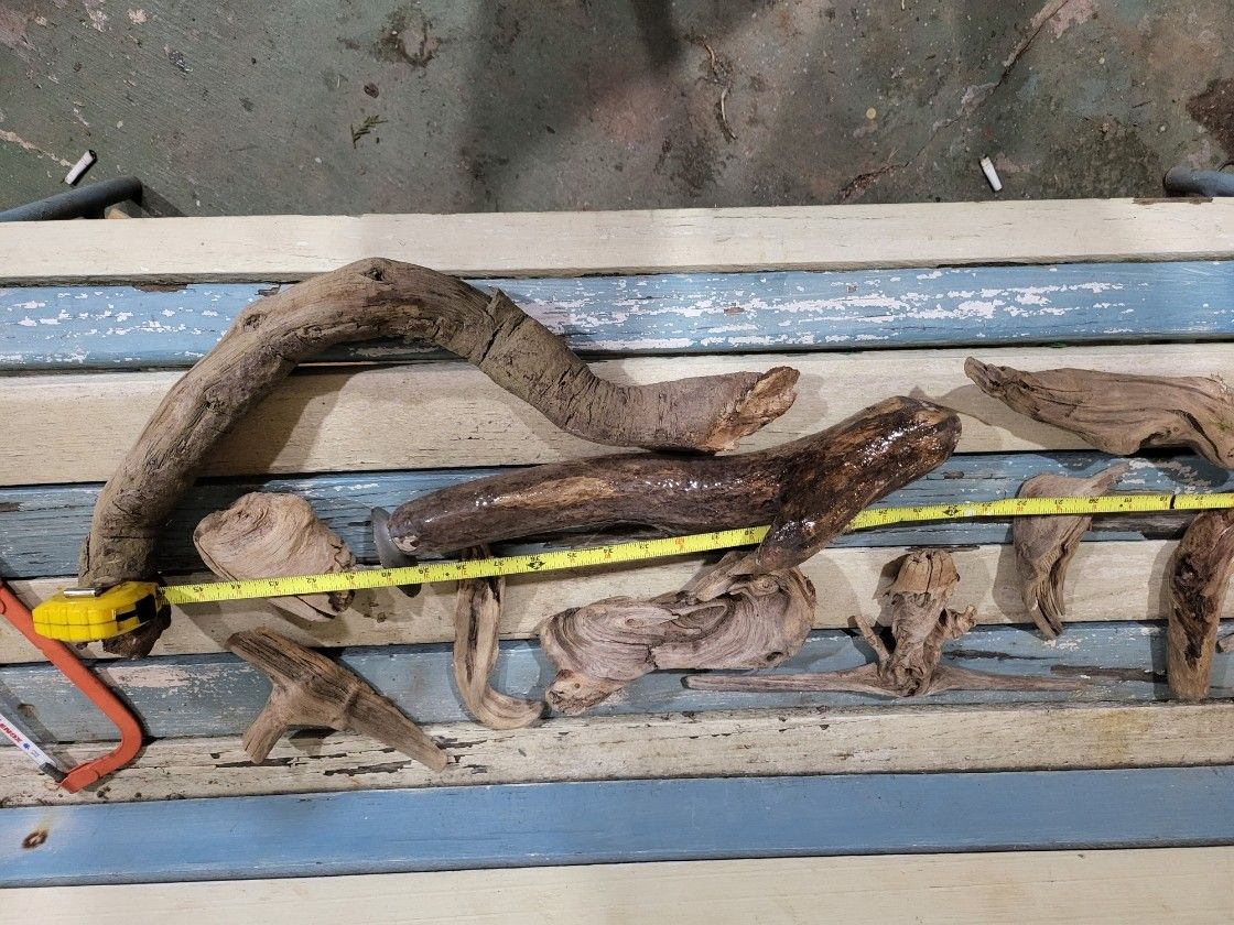 Wood For Reptile, Aquarium. Crafts