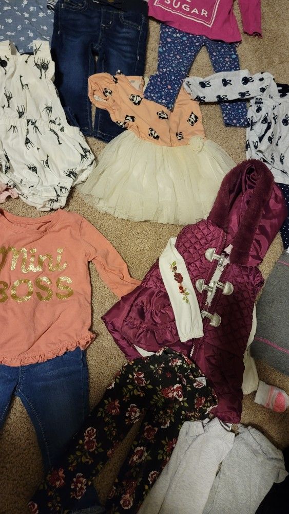 Baby Girl Size 12 Month Clothing Lot