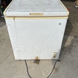 Freezer Upright