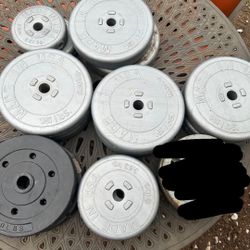 Weights For 1 Inch Barbell