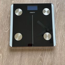 Smart Fitness Scale Measures BMI
