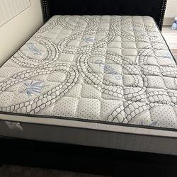 Queen Size Mattress Pillow Top  New
