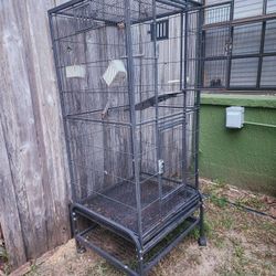 Big Bird Cage